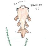 【解決】洗濯機の買い替え、ドラム式と縦型ではどっちがおすすめか