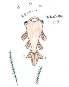 【解決】洗濯機の買い替え、ドラム式と縦型ではどっちがおすすめか