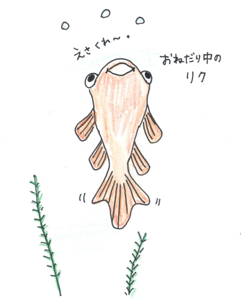 リク
