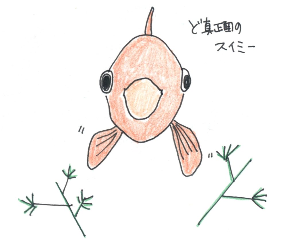 スイミー