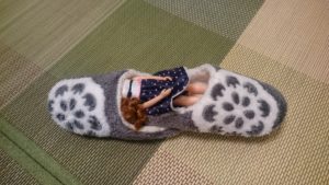 斬新リカちゃんハウス！ママのスリッパカプセルホテルに強制宿泊