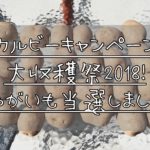 カルビーキャンペーン大収穫祭2018！今年で５回目の当選！コツ紹介