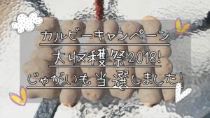 ワンカルビ懸賞当選！『宝塚大劇場雪組公演』チケット