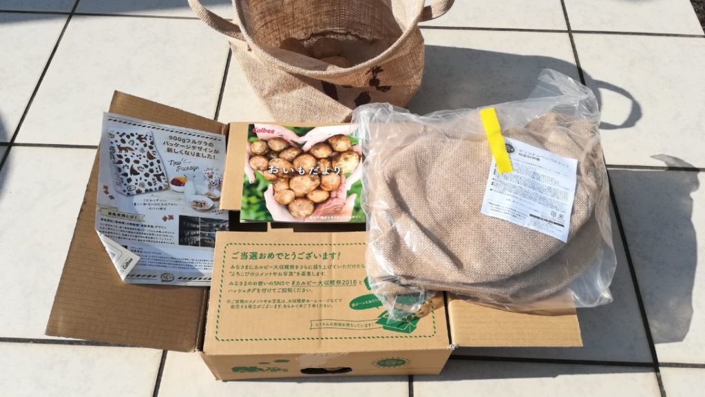 大収穫祭6回目当選