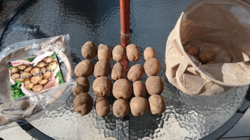 大収穫祭6回目当選