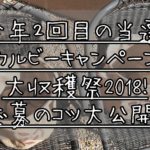 今年２回当選！カルビーキャンペーン大収穫祭2018！応募のコツ公開！